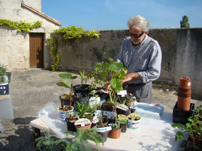 Illustration pour « Bourses aux plantes »